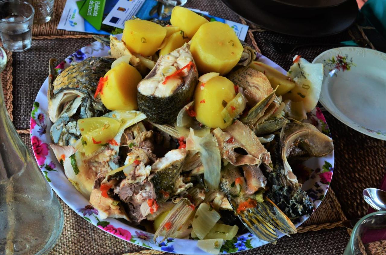 Casa Calin Ξενοδοχείο Crisan  Εξωτερικό φωτογραφία