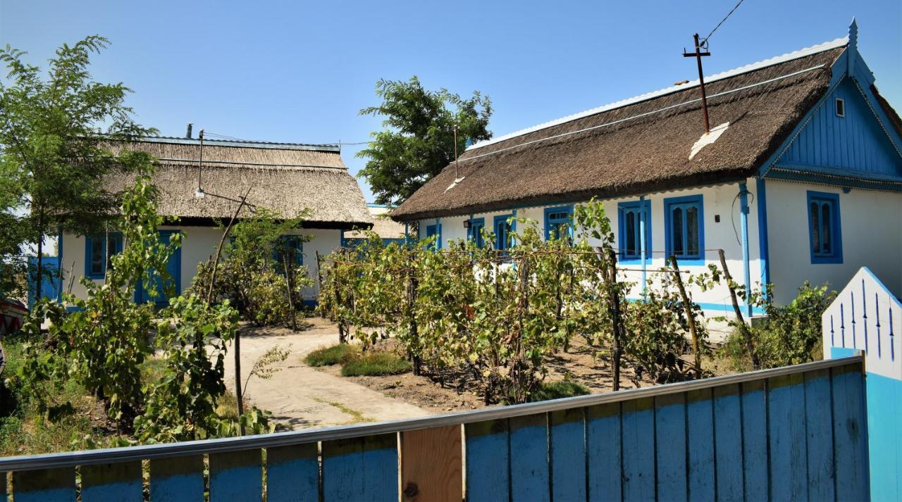 Casa Calin Ξενοδοχείο Crisan  Εξωτερικό φωτογραφία